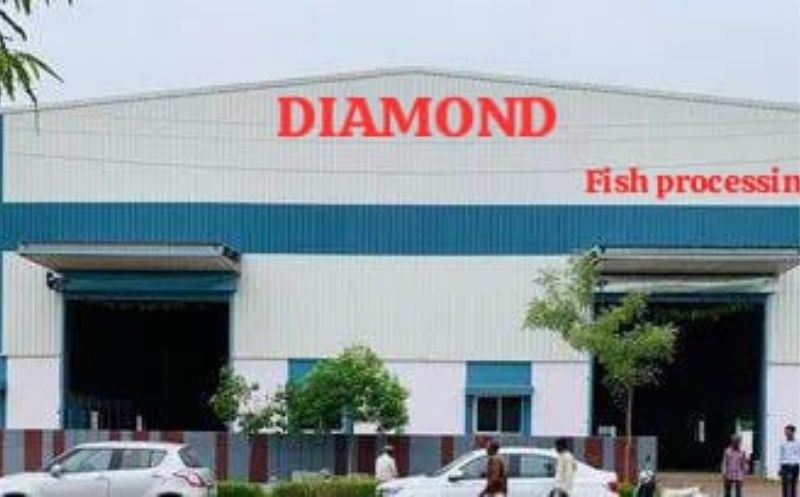 Fish processing plant-1